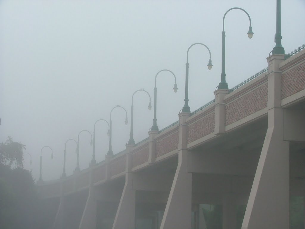 A Foggy Morning, Сант-Чарльз
