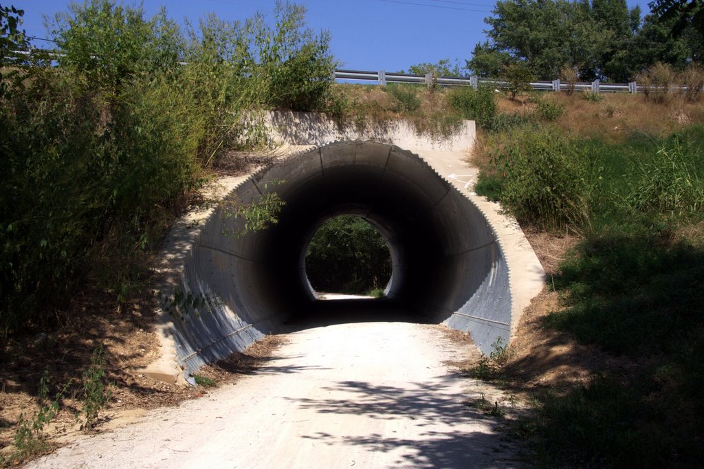 Katy trail underpass, Седар-Сити
