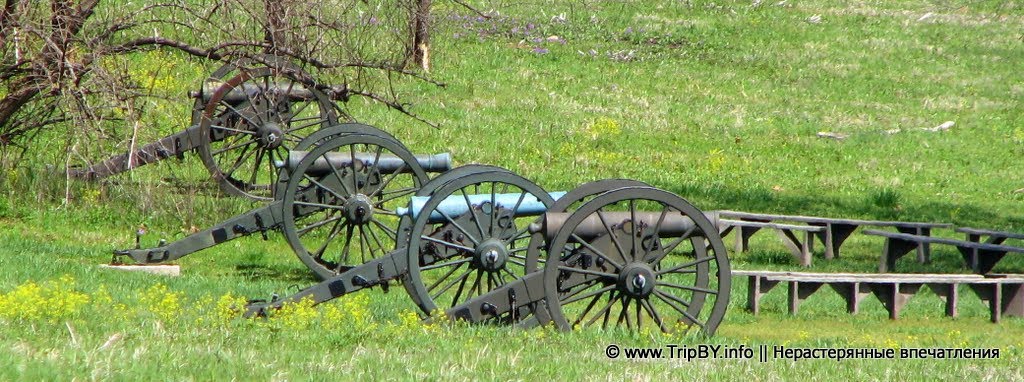 Пушки времен гражданской войны в Wilsons Creek Battlefield, Харвуд