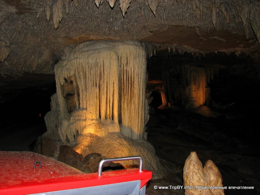 Fantastic Cavern, Харвуд