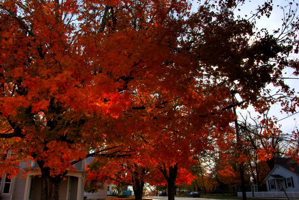 Fall in Ash Grove, Харвуд