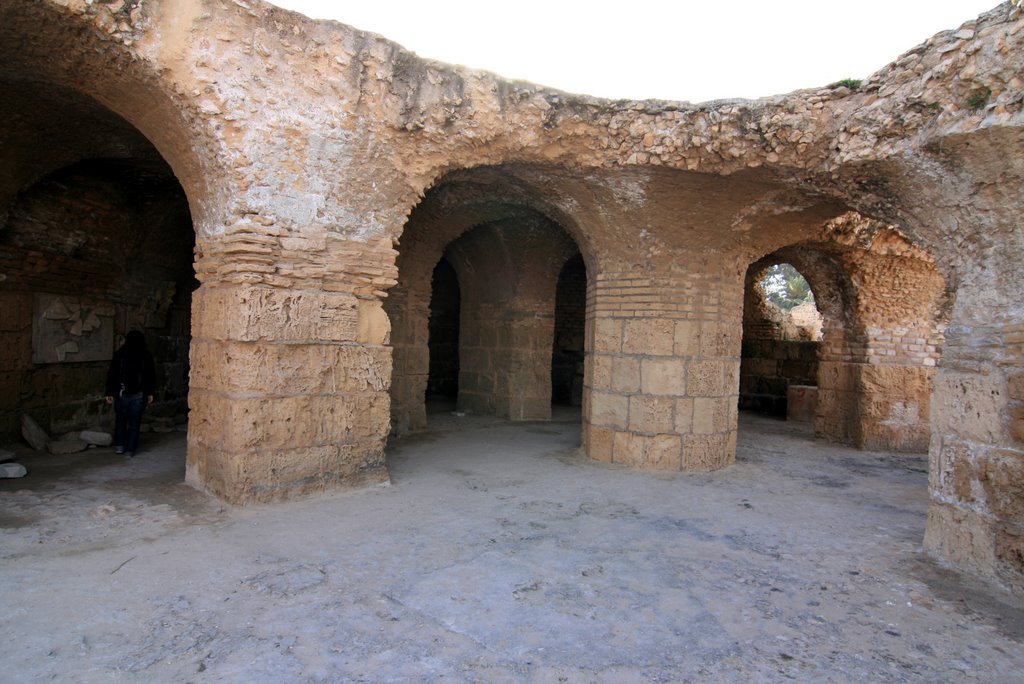 Ruinas de las termas de Antonino, Харвуд