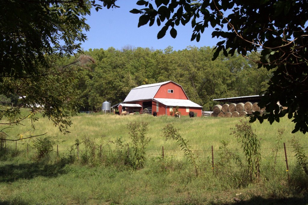 Barn with cows and hay, Хиллсдал