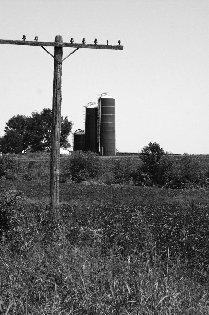 Telegraph pole/Silos, Хунтлейг