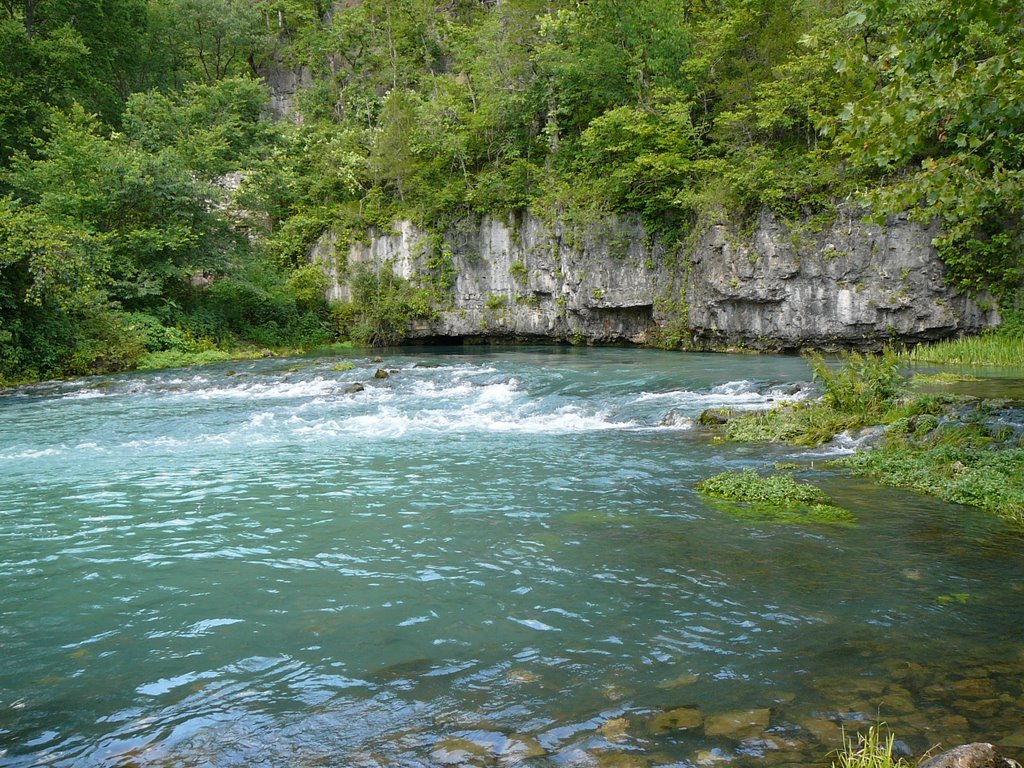 Current River -- Welch Spring, Эдгар-Спрингс