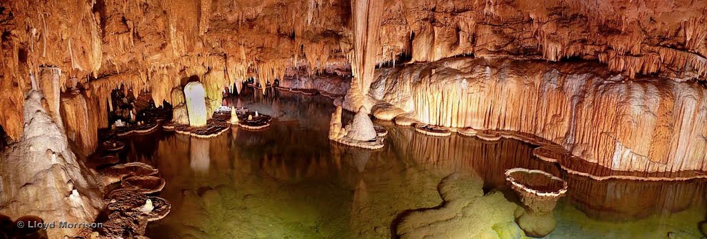 Onondaga Cave State Park, Эдгар-Спрингс