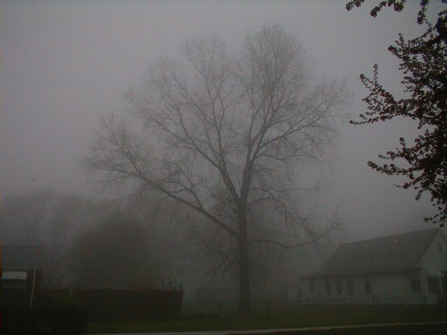 Foggy Morning on Jackson St April 2000, Аллен-Парк