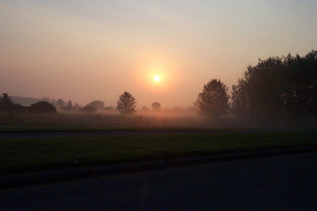 Morning fog, Бичер