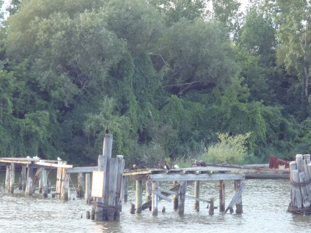 Weathered Dock on the Saginaw River, Bay City, Michigan, Бэй-Сити