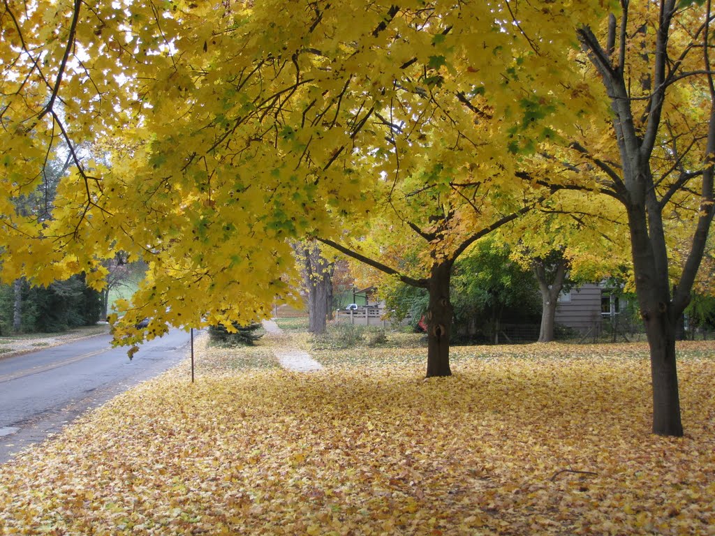Yellow sidewalk, Варрен
