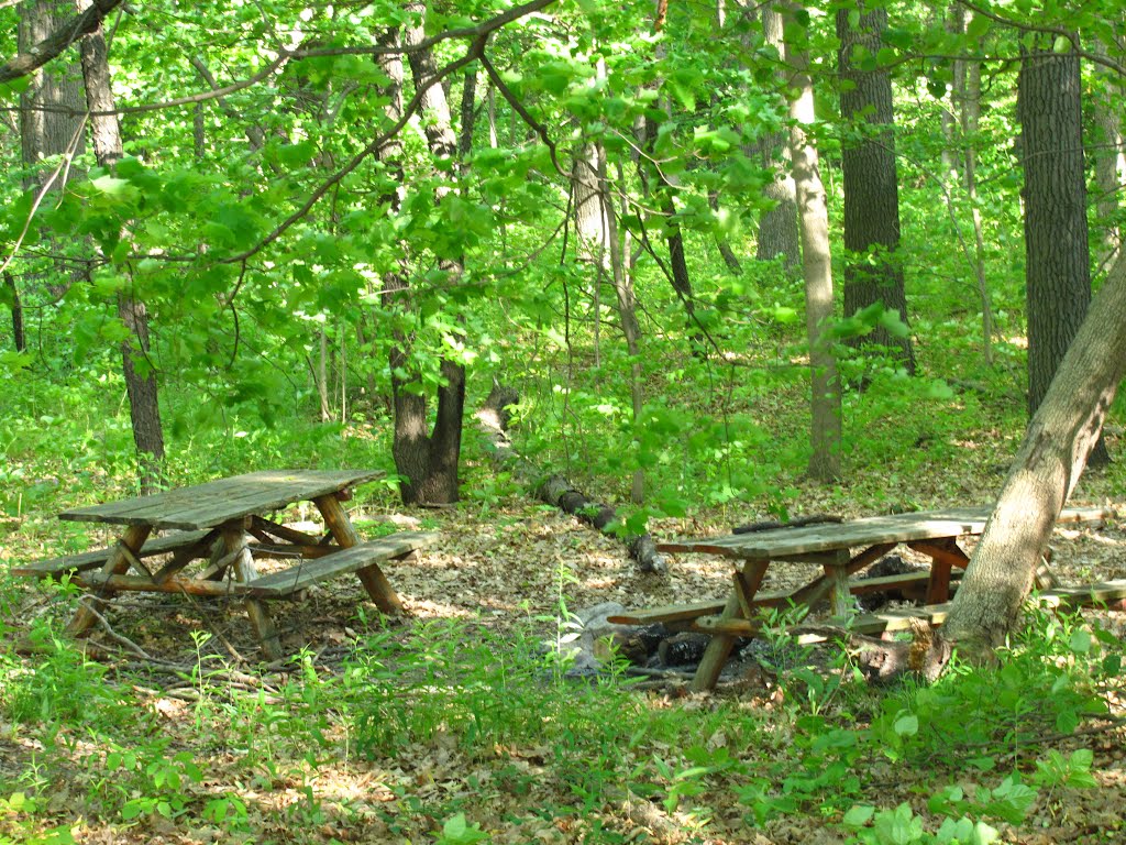 Picnic tables in Camp Hilltop Park, Варрен