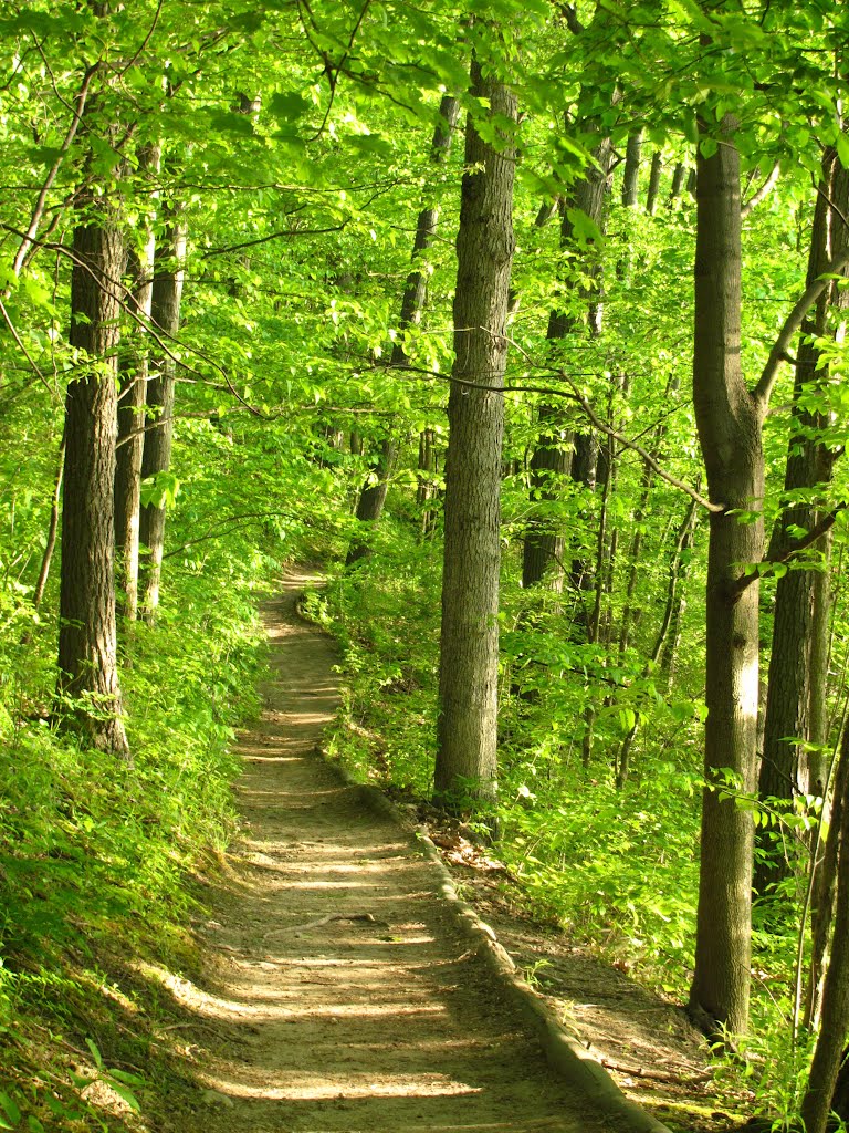 Trail in Argo Nature Area, Ann Arbor, Michigan, Варрен