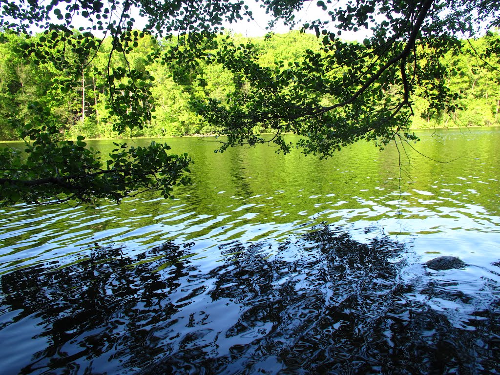 Color of Argo Pond (Bandemer Park, Ann Arbor, MI), Варрен