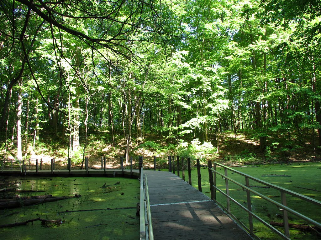 Boardwalk in Black Pond Woods Nature Area, Варрен