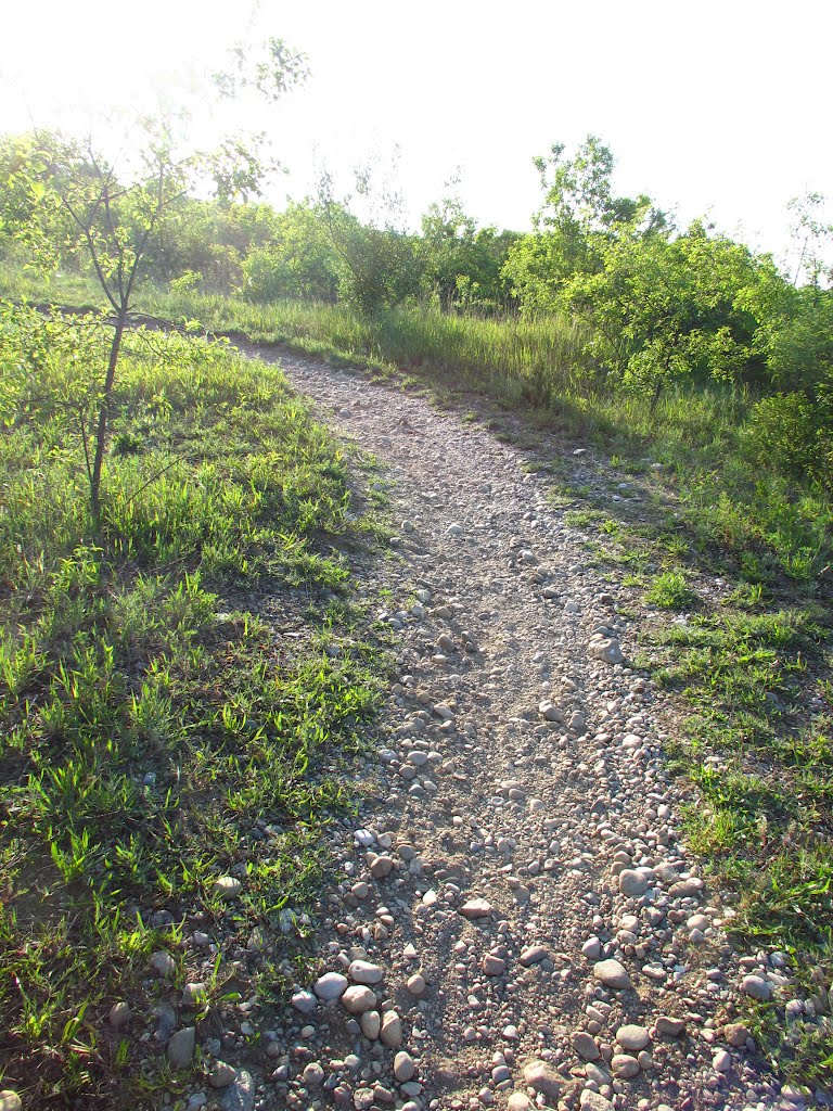 Gravel uphill curve, the hardest part of the mountain bike trail in Olson Park, Варрен