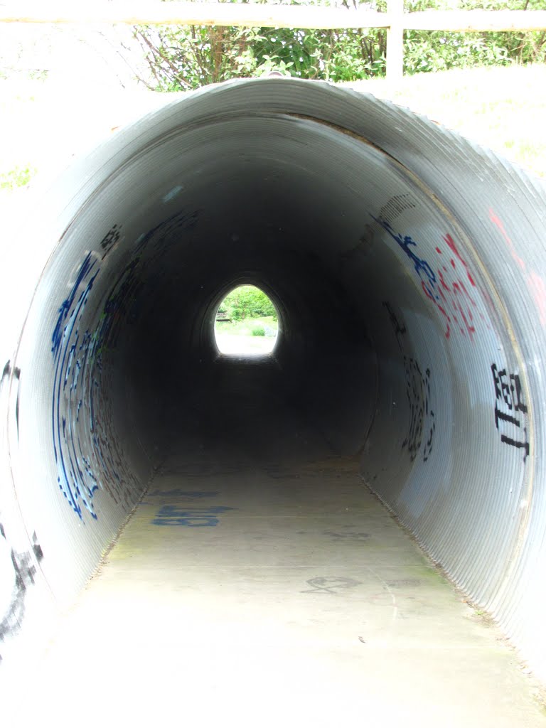 Trail tunnel under Tuebingen Pkwy, Варрен