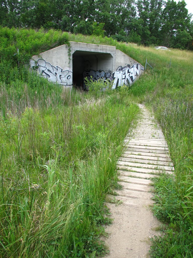 Tunnel under S23 M14 connecting parks, Варрен