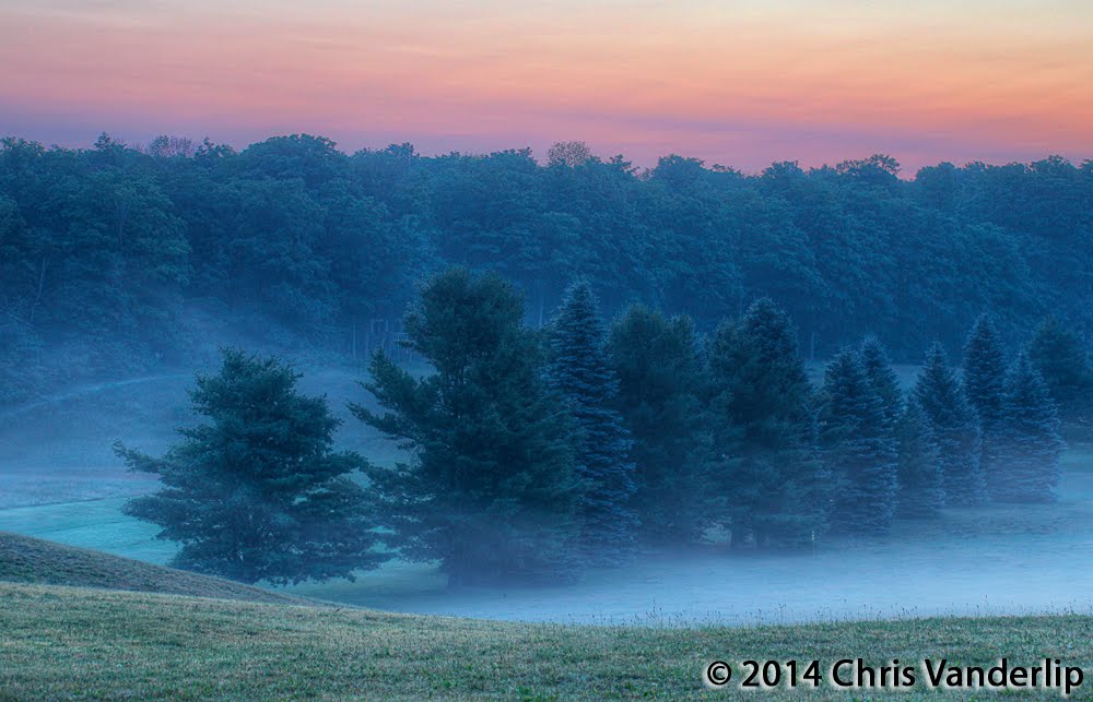 Foggy Trees at Dawn, Виоминг