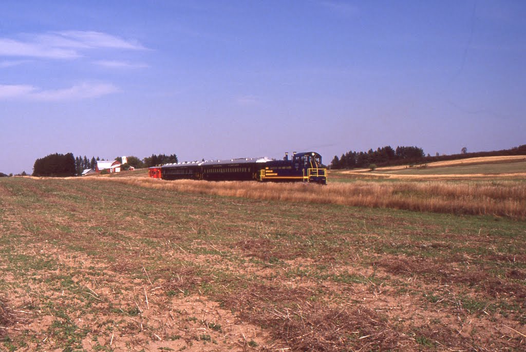Leelanau Scenic Railroad 1990 Southbound, Гранд-Бланк