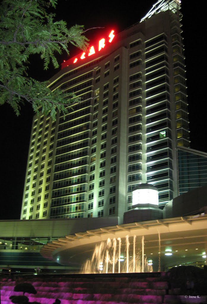 Caesars Windsor Hotel & Casino, Windsor, Ontario, Canada, Детройт