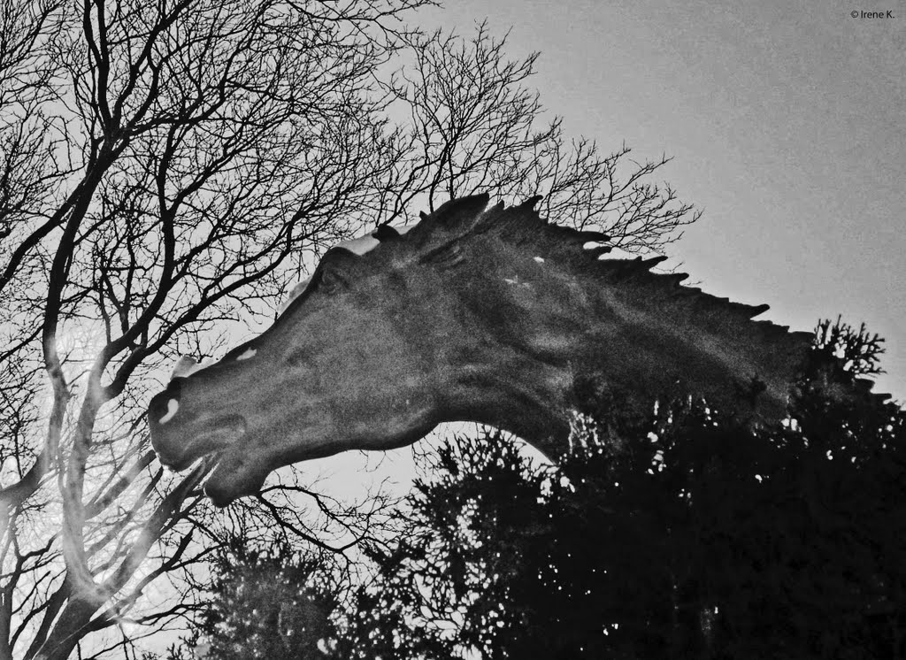 "Racing Horses" by Derrick Stephen Hudson - Odette Sculpture Park, Windsor, ON, Canada, Детройт