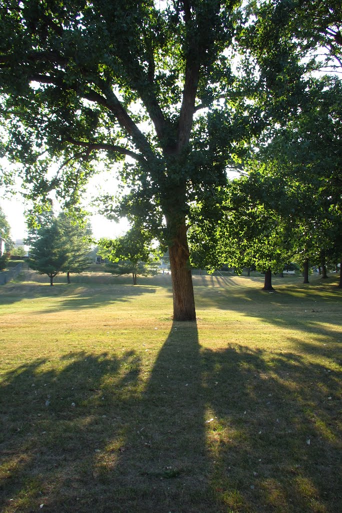 Attractive shadow in summer (Loomis Park, Jackson), Джексон
