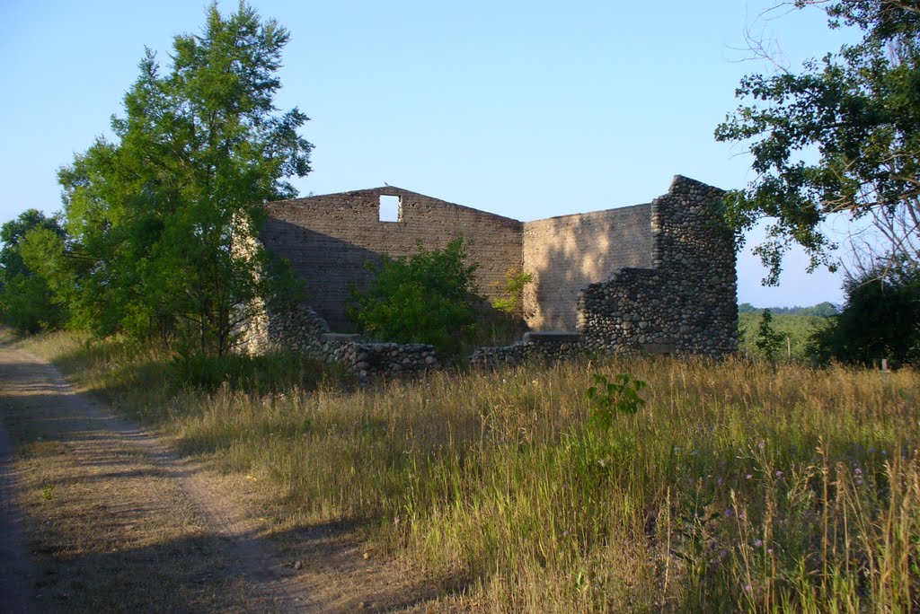 Remains of Old Potato Warehouse-2007, Есканаба