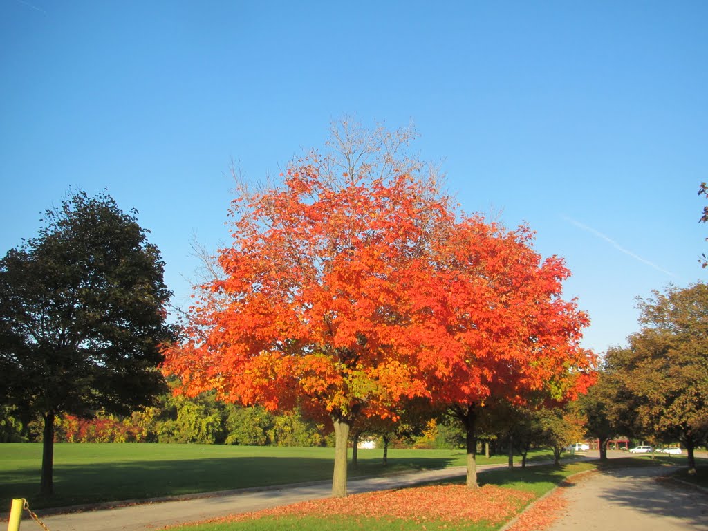 Red entrance of North Bay Park (fall), Ипсиланти