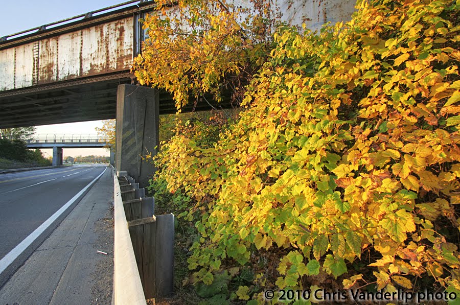 Railroad bridge in fall, Кентвуд