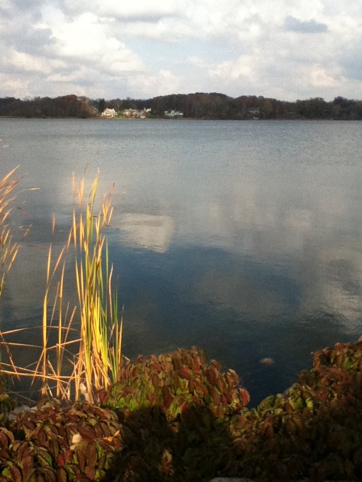 Reeds Lake In The Fall, Кентвуд