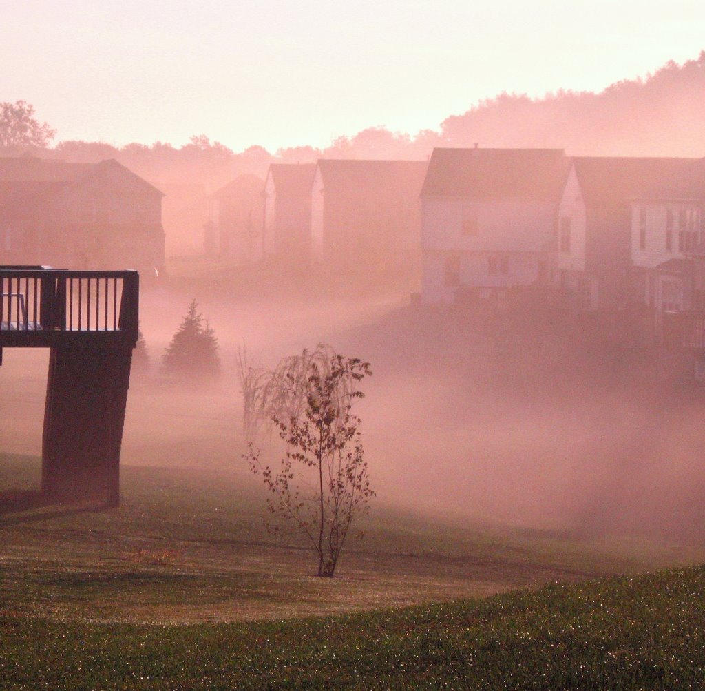 Misty morning, Caledonia MI, Кентвуд