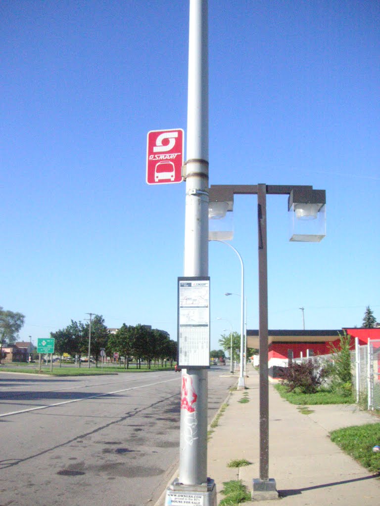 bus stop for Detroit Metro Airport, Линкольн-Парк