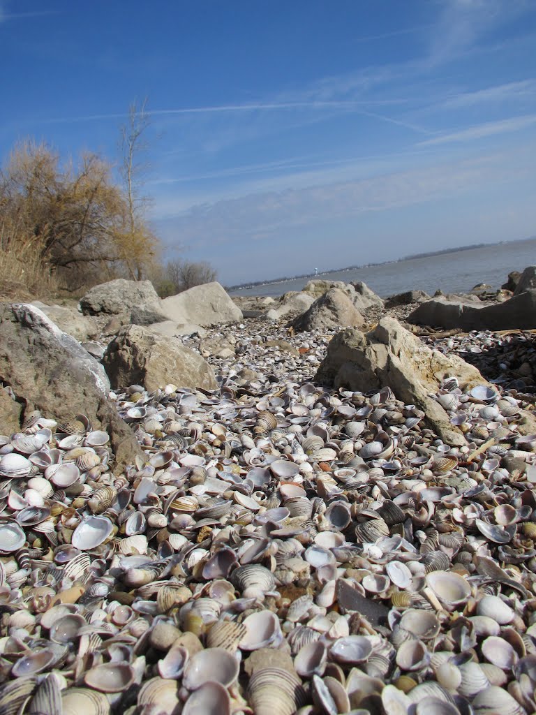 Shells from Lake Erie, Луна-Пир