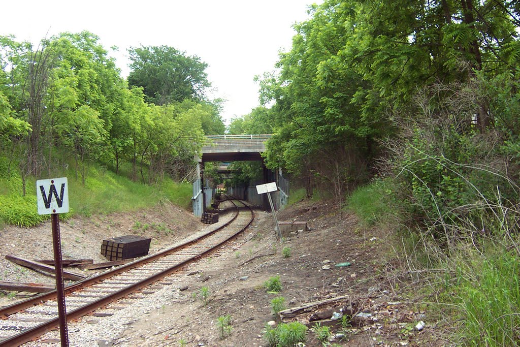 Ann Arbor Line Through/Under Howell, Монтроз