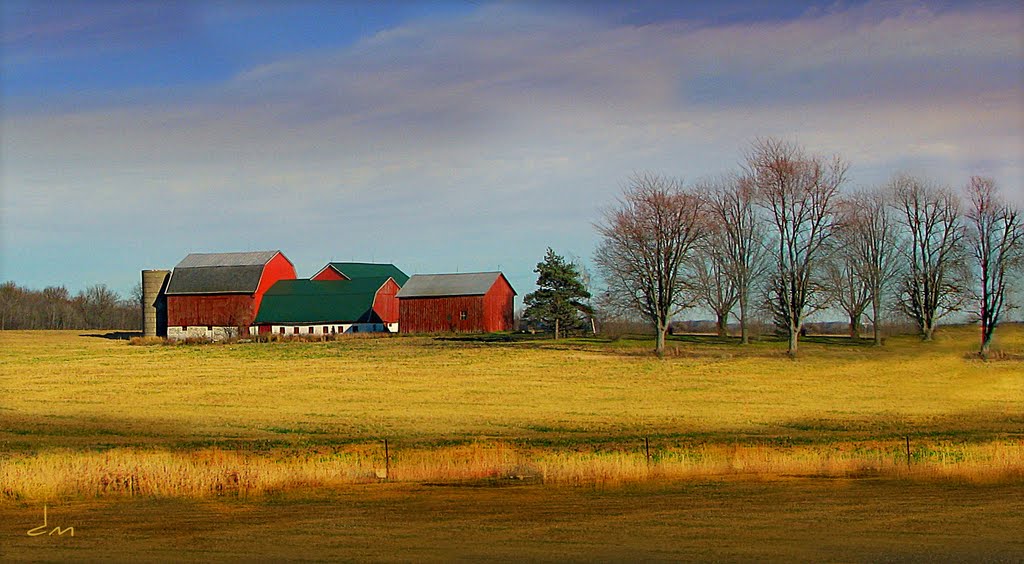 Michigan Farms, Монтроз