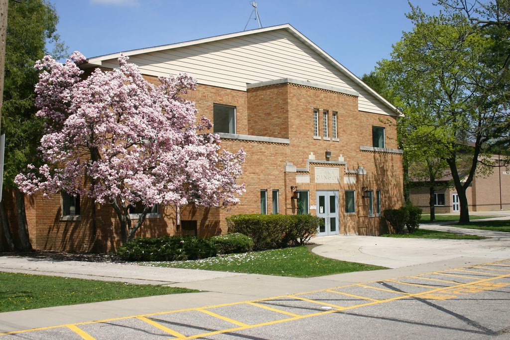 Ithaca North Elementary School, Норт Мускегон