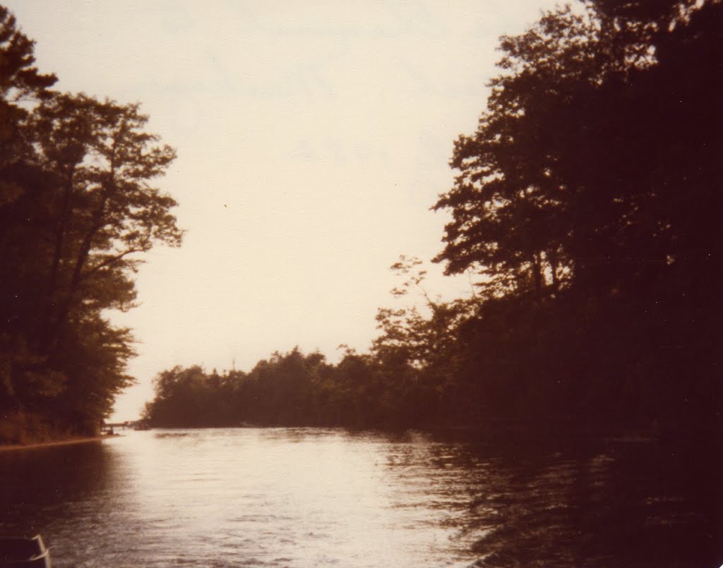 Mona Lake channel 1982, Нортон Шорес
