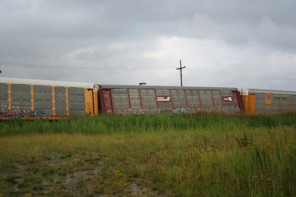 Train Derailment in Flat Rock yerd in Woodhaven Mi, Саутгейт