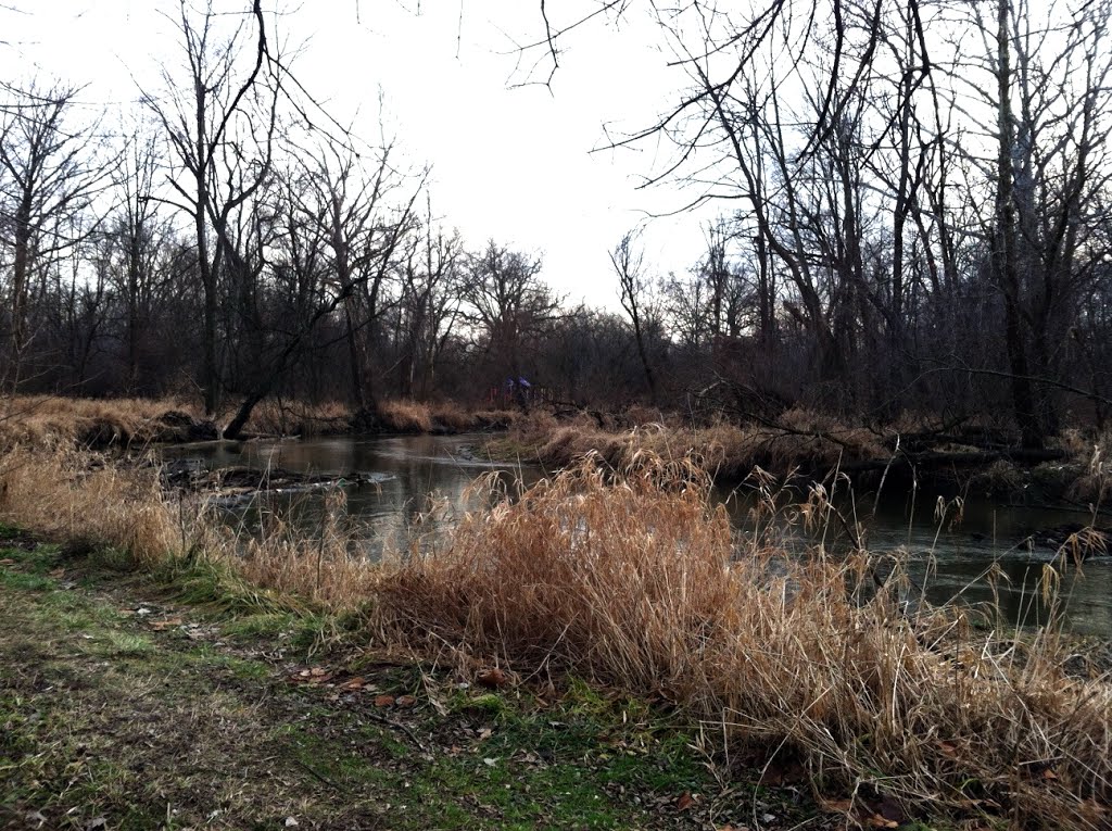 Along the Clinton River - Jan 12, 2013, Стерлинг-Хейтс