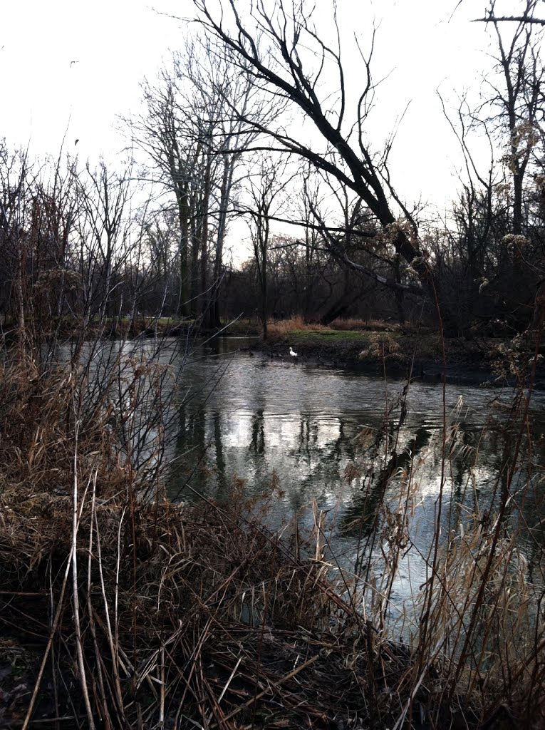 Clinton River on a Warm Winter Day - Jan 12, 2013, Стерлинг-Хейтс