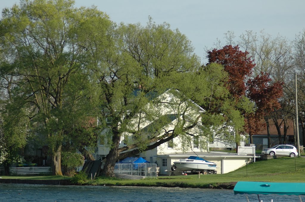 Whitmore Lake from 8 mile Rd., Уитмор-Лейк