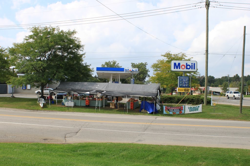 Produce stand, Whitmore Lake Road & 9 Mile Road Mile Road, Brighton, Michigan, Уитмор-Лейк