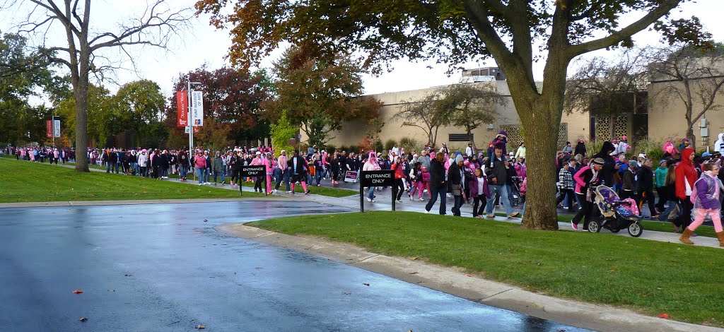 Walk for Breast Cancer, Flint Michigan, Флинт
