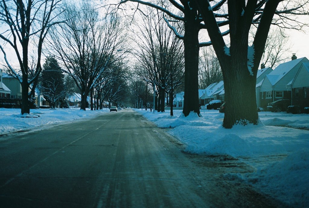 Winter scene on Lancaster Street Harper Woods Michigan USA, Харпер-Вудс