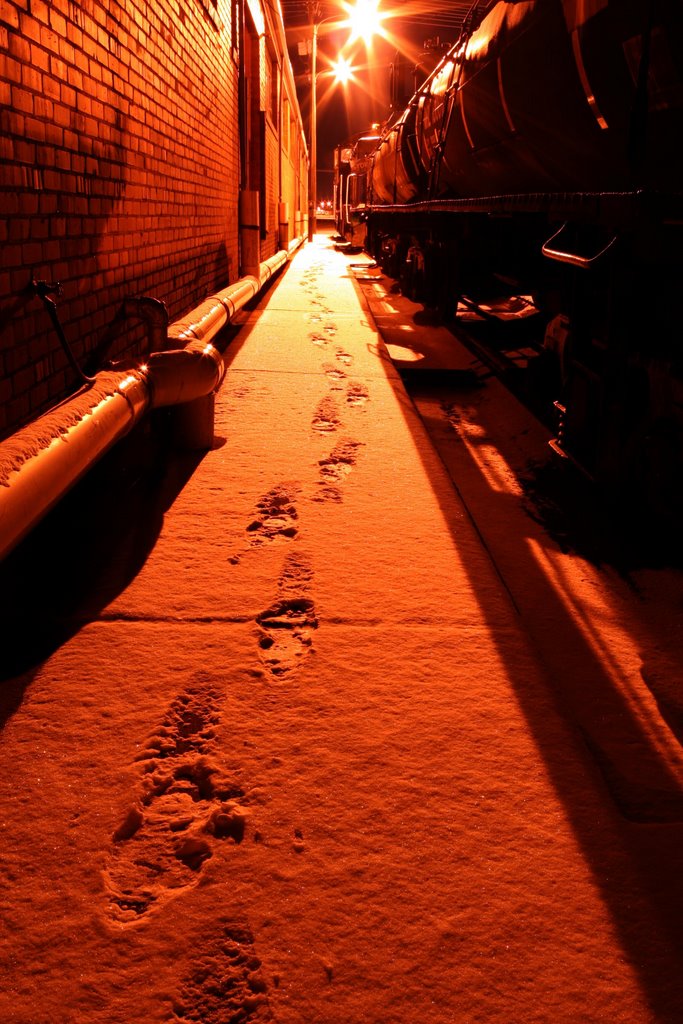 Snowy Steps, Биллингс