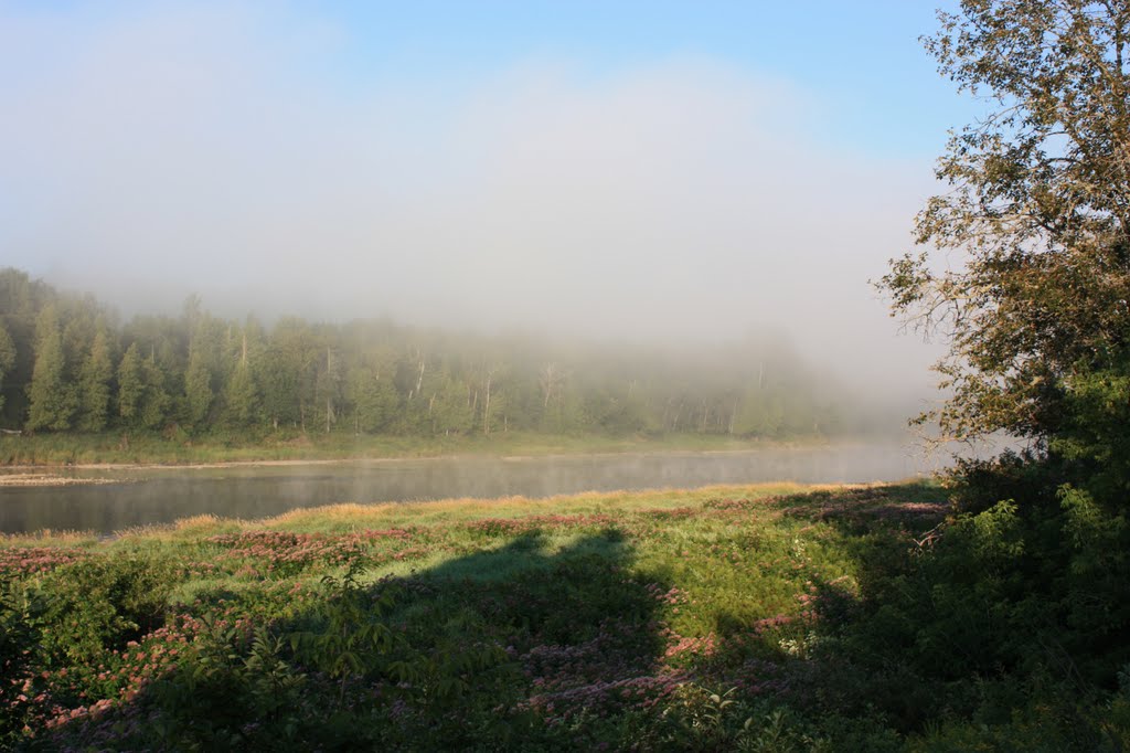 Misty morning on the Aroostook river, Вестбрук