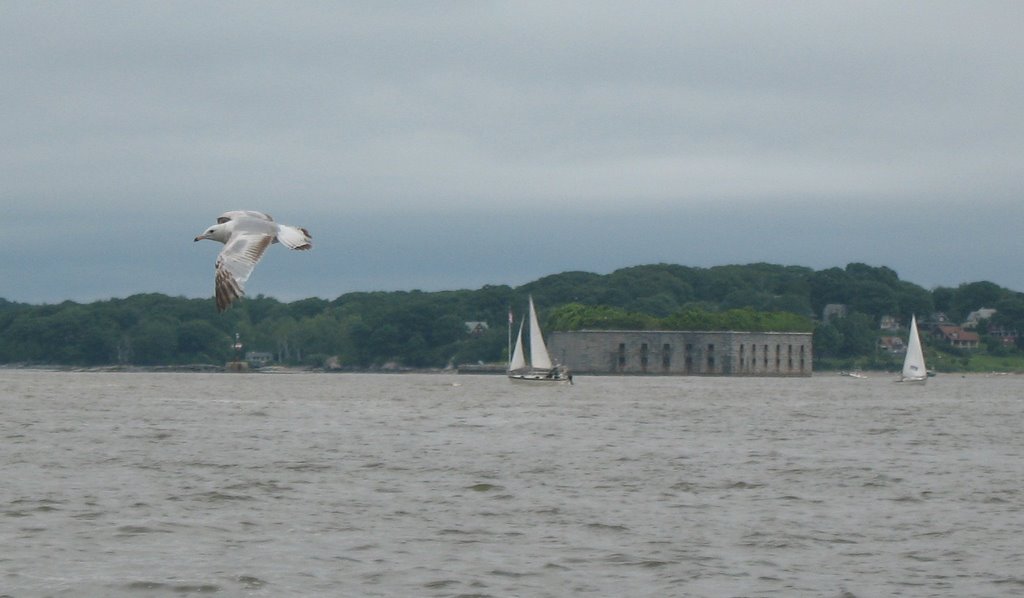 Seagull and the fort, Портленд
