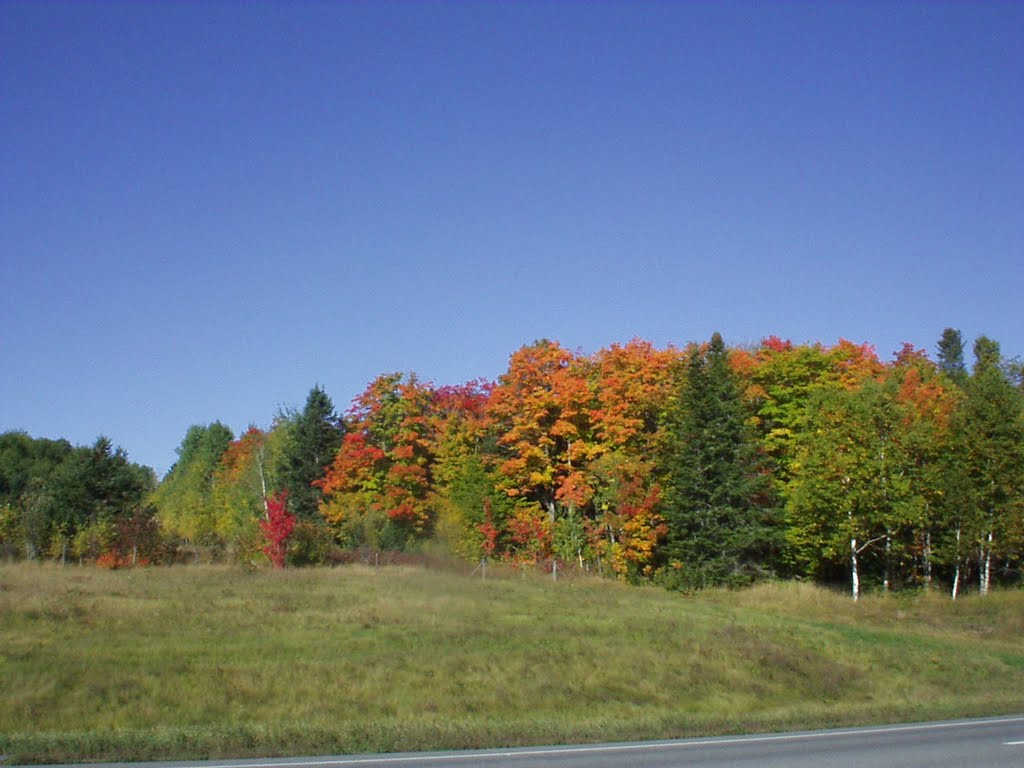 South of Caribou, ME, Фалмаут-Форсайд