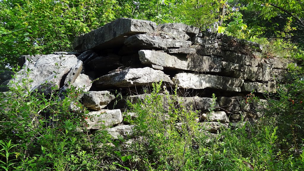 Mill Stream Dam; Mast Landing Audubon Sanctuary, Freeport, Maine, Фрипорт