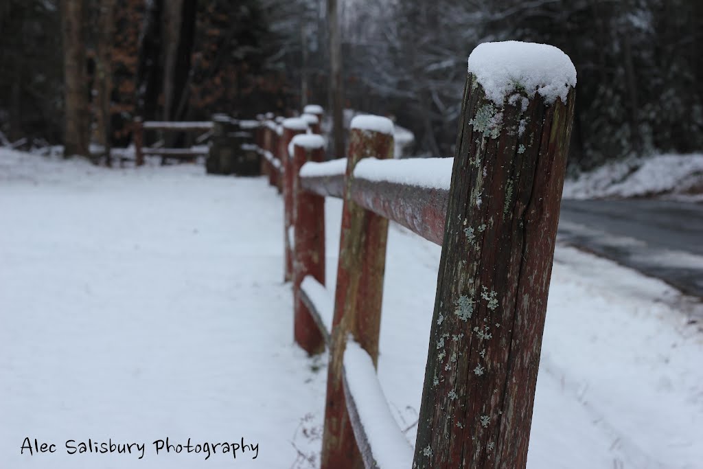 Snowy Fence, Фрипорт
